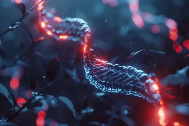 Mutation affects traits, disease risk, and evolution. The graphic shows point mutations, deletions, and chromosomal changes.