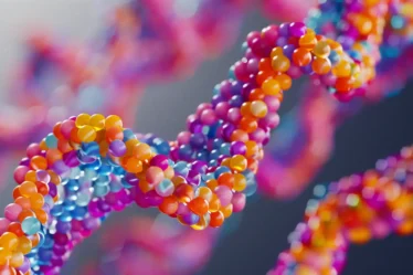 Chromatin structure showing DNA wrapped around histones in a nucleosome