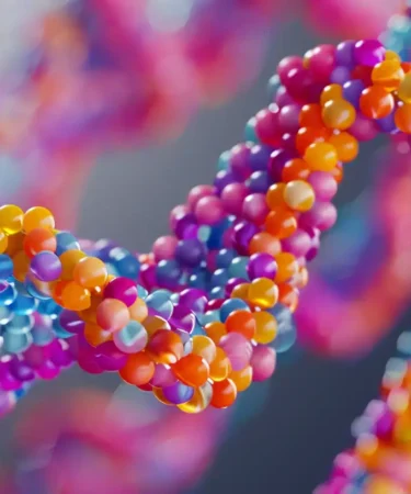 Chromatin structure showing DNA wrapped around histones in a nucleosome