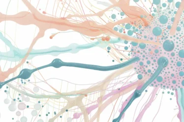 Cytoskeleton diagram showing actin filaments, microtubules, and intermediate filaments inside a eukaryotic cell