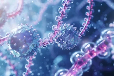 Histone protein wraps dna into nucleosomes forming chromatin